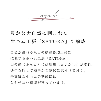 【原木】三条市産下田豚Bitオリジナル生ハム〜15ヶ月以上熟成〜