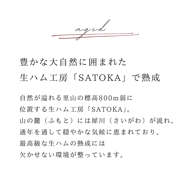 【原木】三条市産下田豚Bitオリジナル生ハム〜15ヶ月以上熟成〜